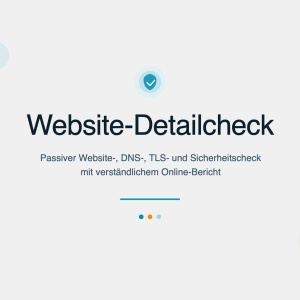 Infografik zur mehrschichtigen Webseitenanalyse: HTTPS, Browser-Sicherheit, SEO, Domain- und E-Mail-Schutz sowie Management Summary
